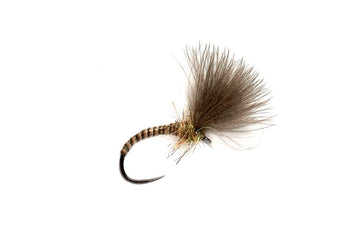 Quill CDC Emerger