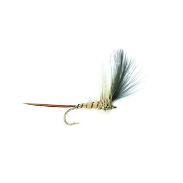 Baz´s Mayfly