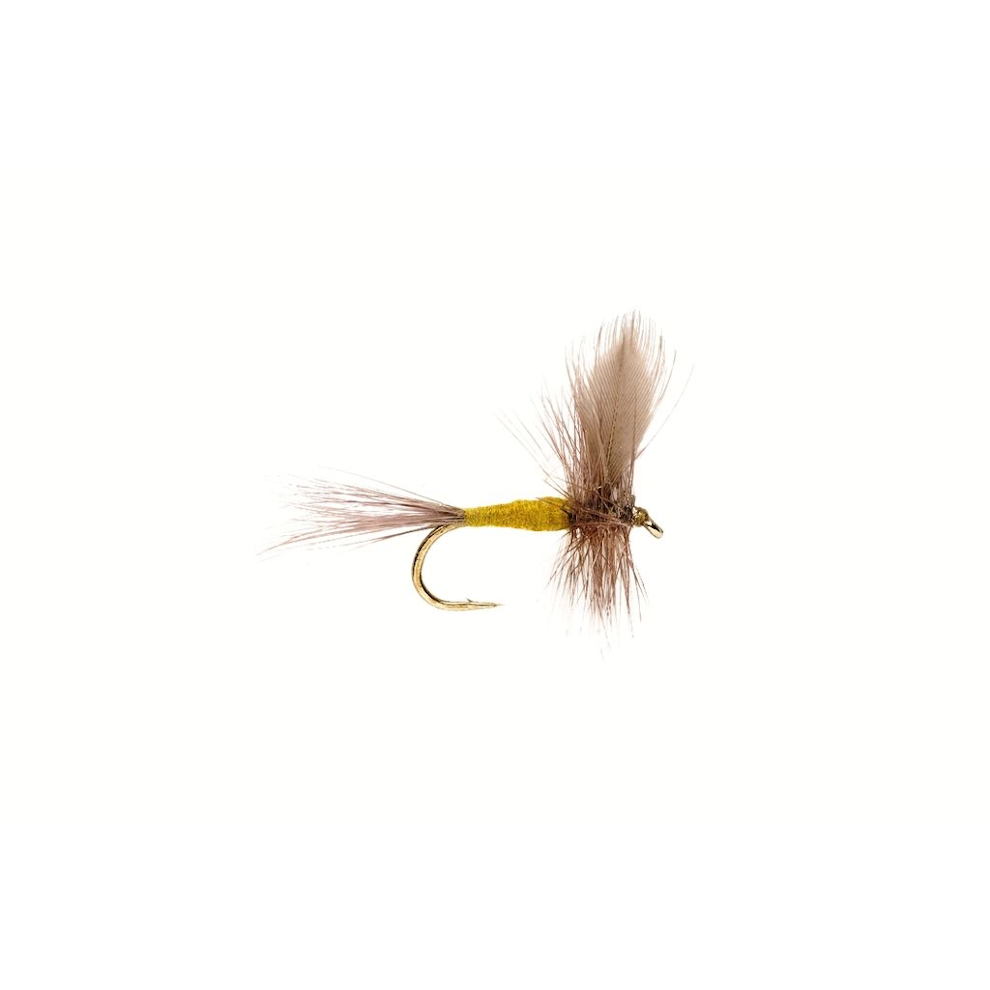 Blue Winged Olive