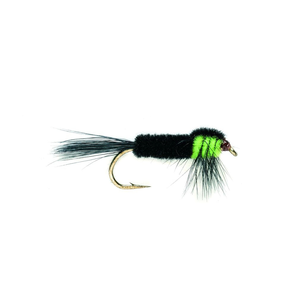 Montana Nymph