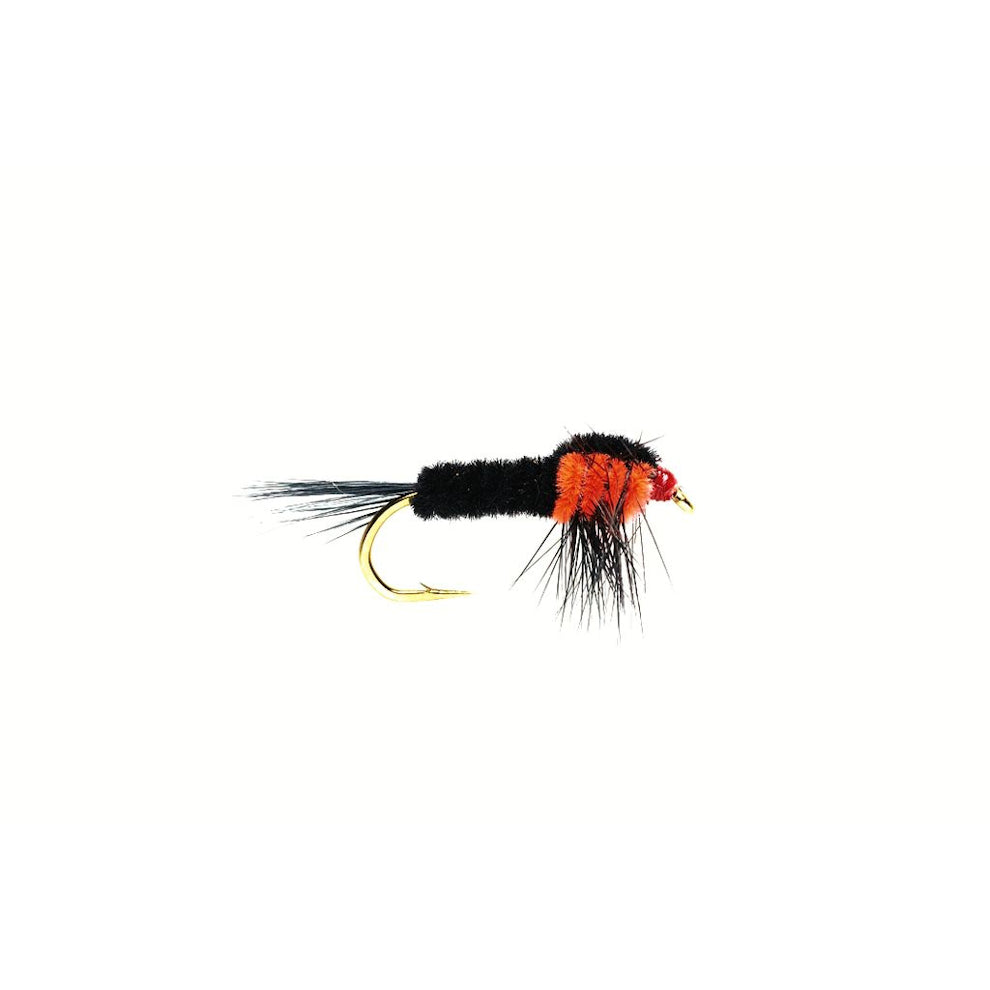 Montana Nymph