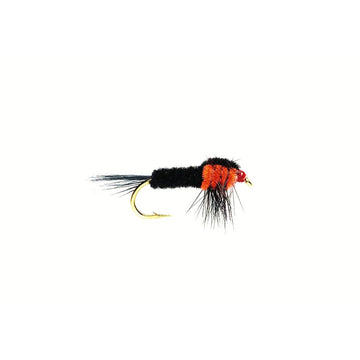 Montana Nymph