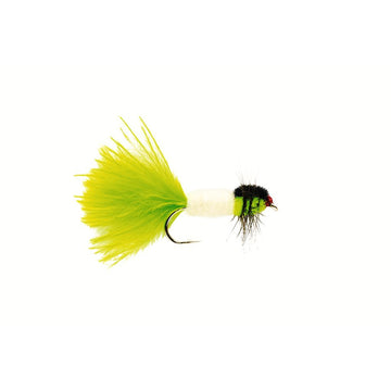 Montana Cat Whisker