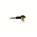 Montana Nymph