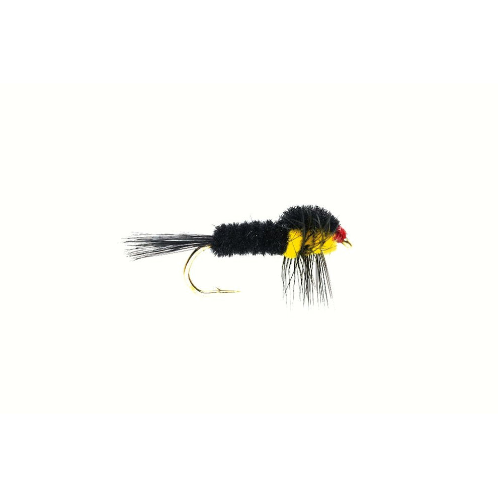 Montana Nymph
