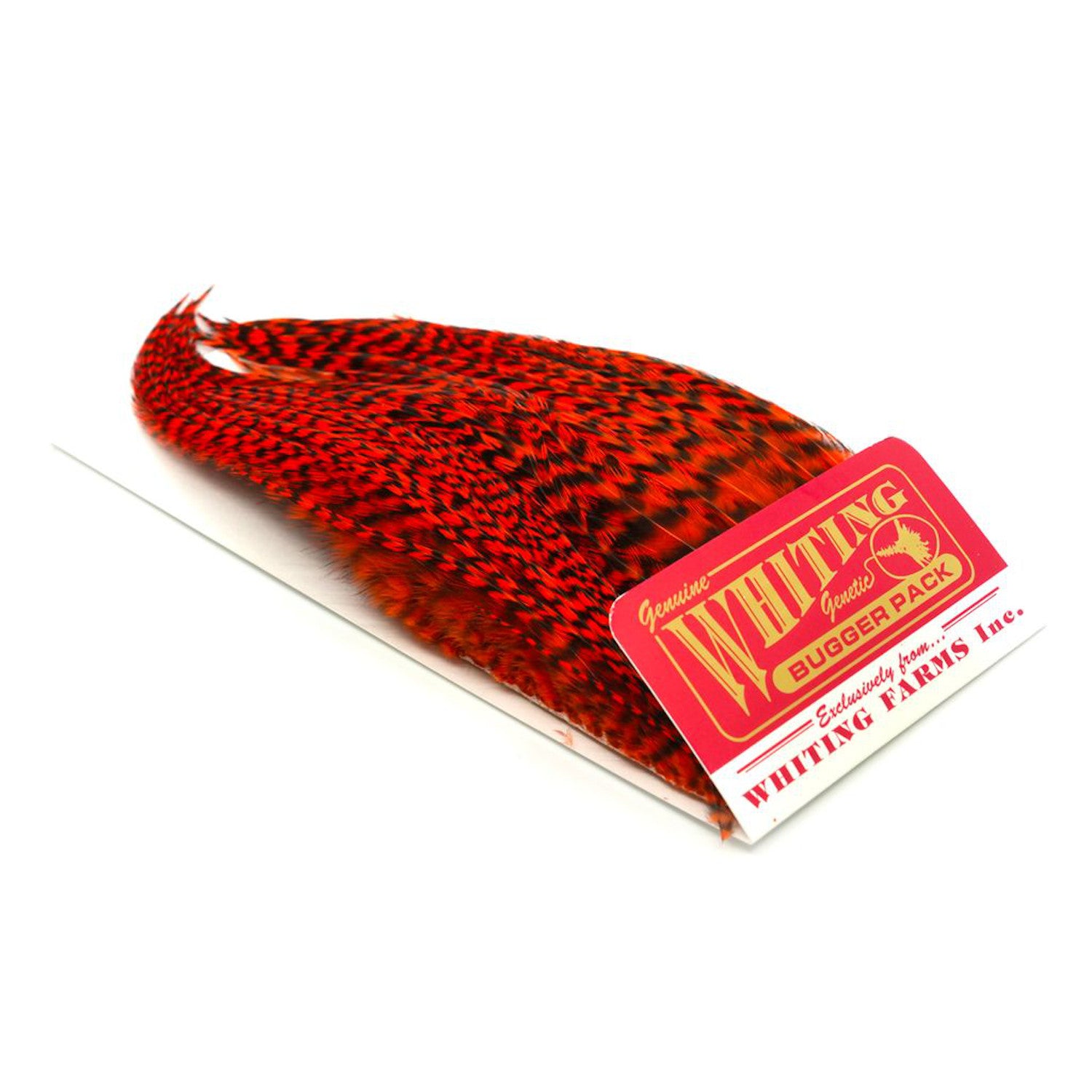 Whiting Bugger Pack