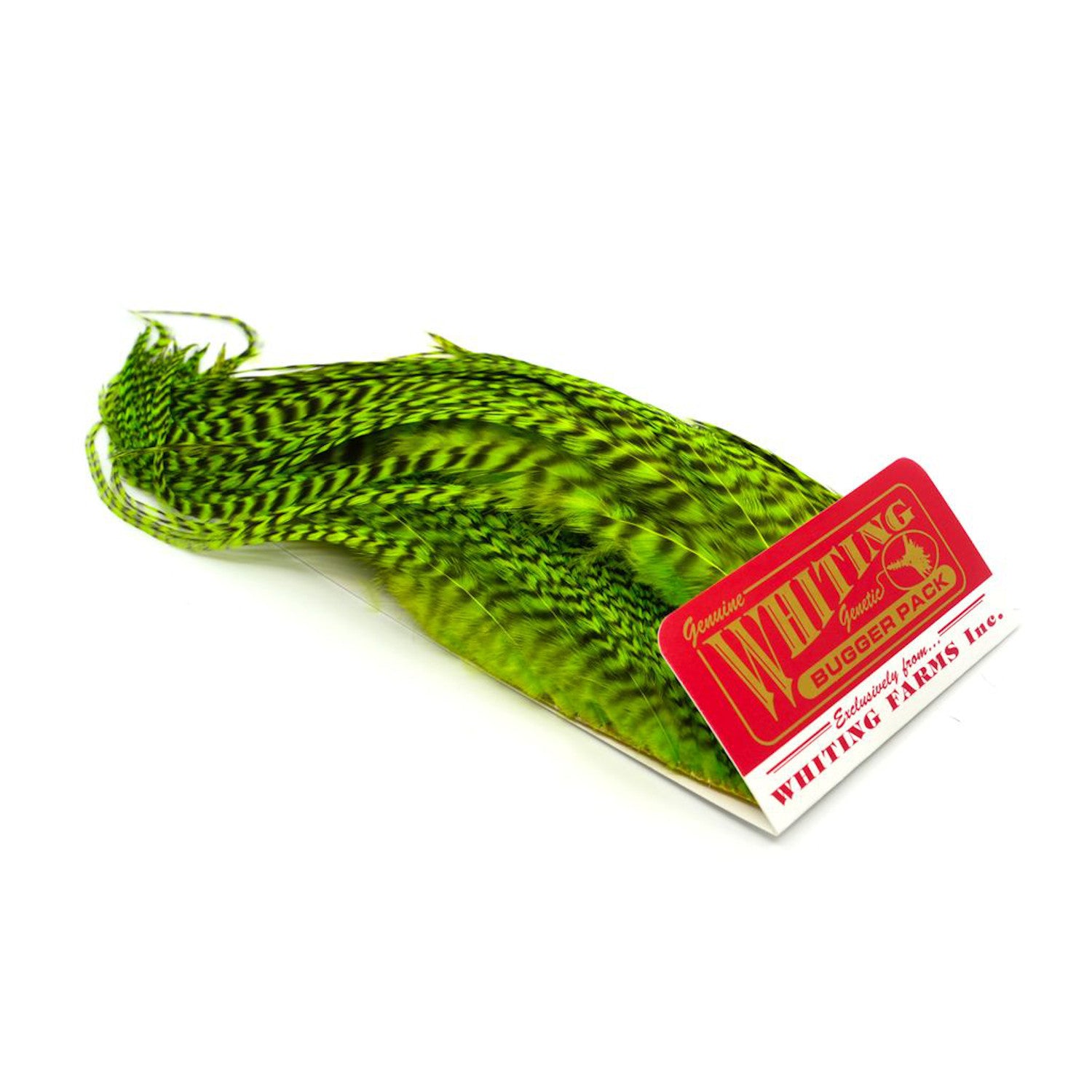 Whiting Bugger Pack