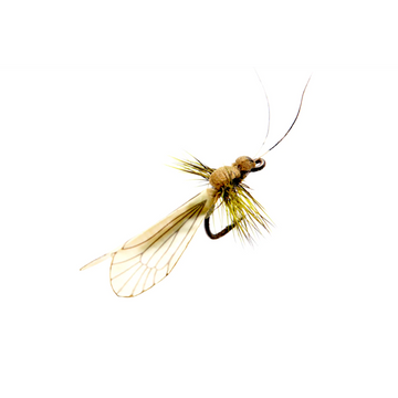 Caddis Adult Pistachio Green