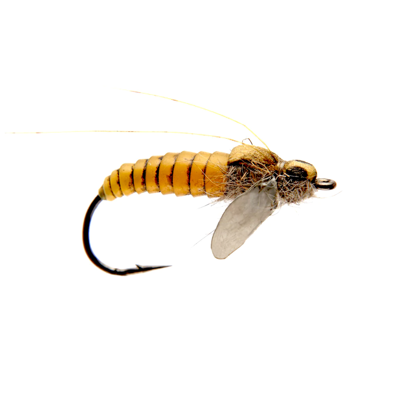 Caddis Pupa Yellow