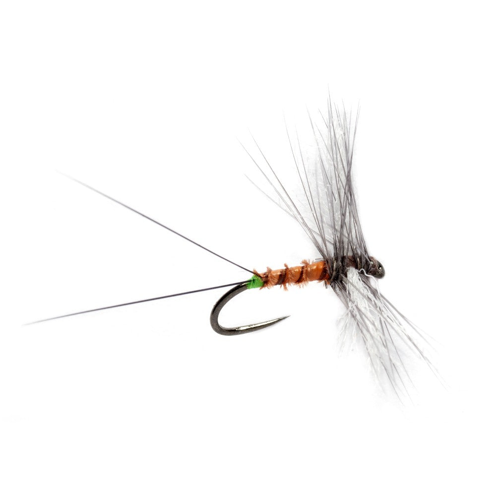 https://www.zefixflyfishing.de/wp-content/uploads/2022/03/Crostons_Cripple_Spinner.jpg