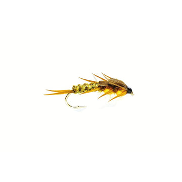 Creeper Olive Stonefly