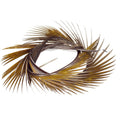 https://www.zefixflyfishing.de/wp-content/uploads/2022/01/Goose_Biots_Brown.jpg