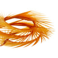 https://www.zefixflyfishing.de/wp-content/uploads/2022/01/Goose_Biots_Ginger.jpg