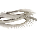 https://www.zefixflyfishing.de/wp-content/uploads/2022/01/Goose_Biots_Grey.jpg