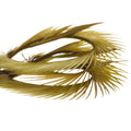 https://www.zefixflyfishing.de/wp-content/uploads/2022/01/Goose_Biots_Olive_Dun.jpg