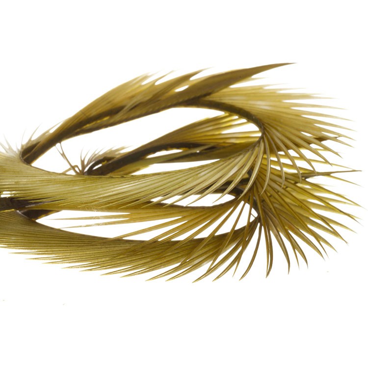 https://www.zefixflyfishing.de/wp-content/uploads/2022/01/Goose_Biots_Olive_Dun.jpg