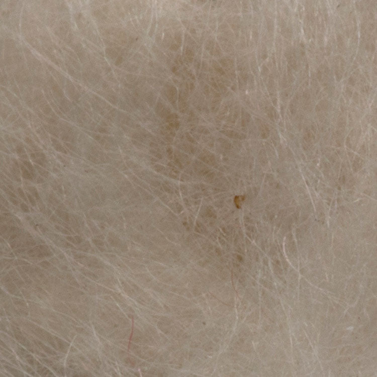 https://www.zefixflyfishing.de/wp-content/uploads/2022/01/Kapok_Cream.jpg
