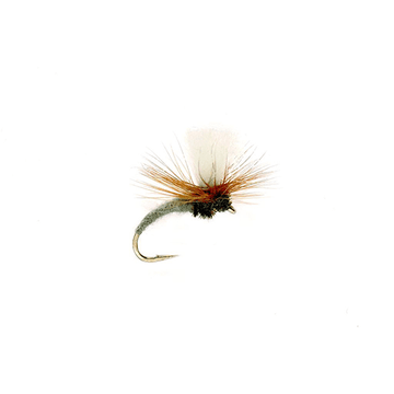 https://www.zefixflyfishing.de/wp-content/uploads/2021/02/Klink_Adams_Grey.png