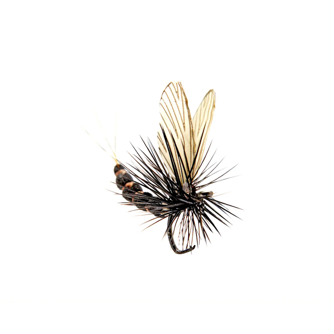 Mayfly Dun Black 