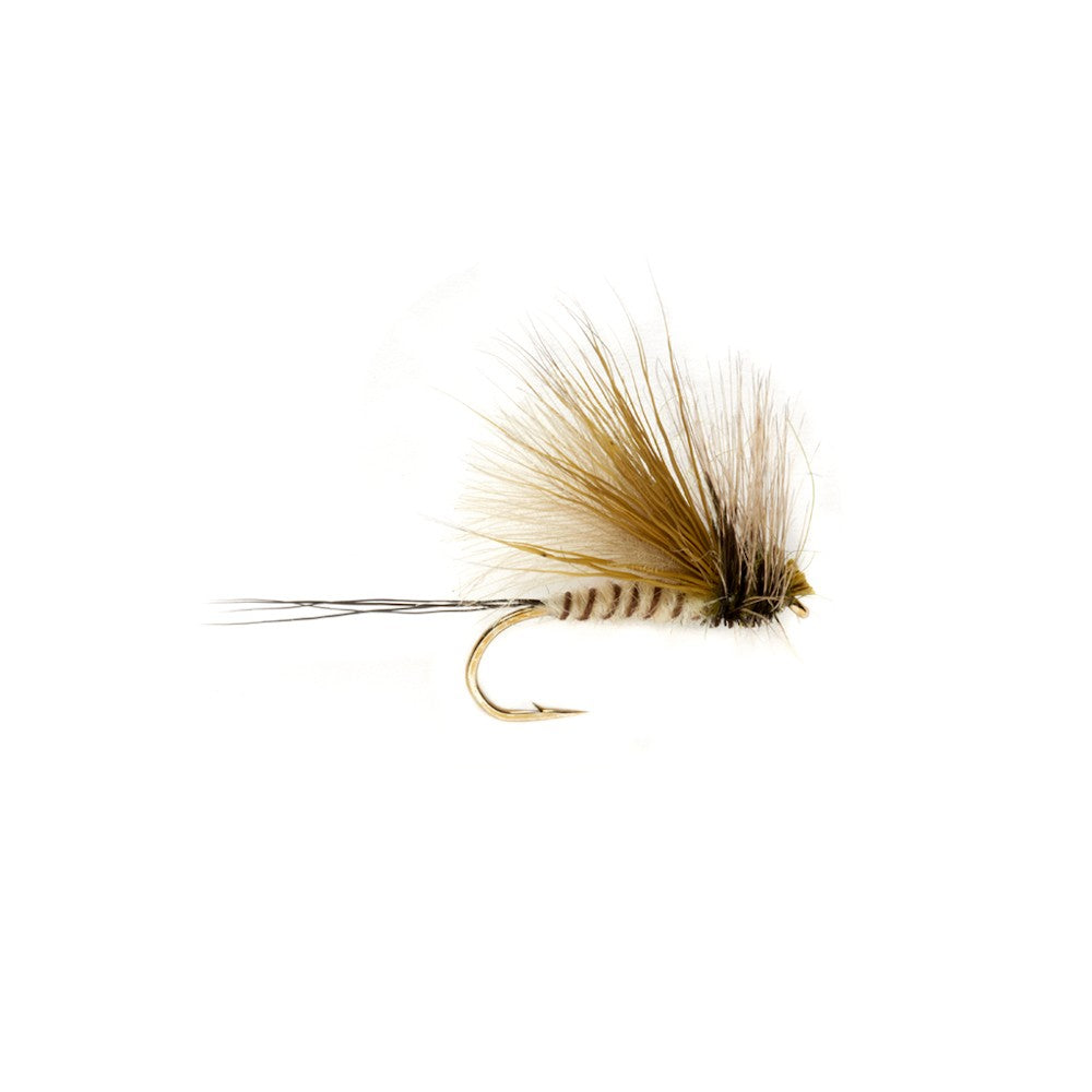 https://www.zefixflyfishing.de/wp-content/uploads/2022/06/Mayfli.jpg