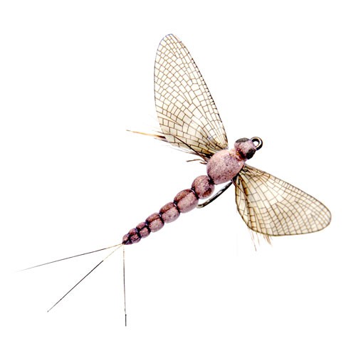 https://www.zefixflyfishing.de/wp-content/uploads/2021/11/Mayfly_Spent_12_Vanilla_Cream.jpg