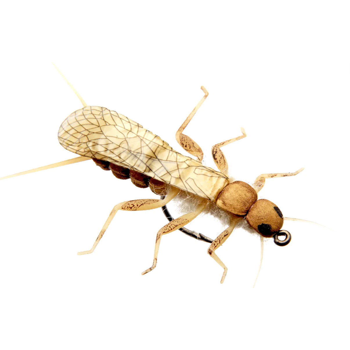 Stonefly Adult Golden