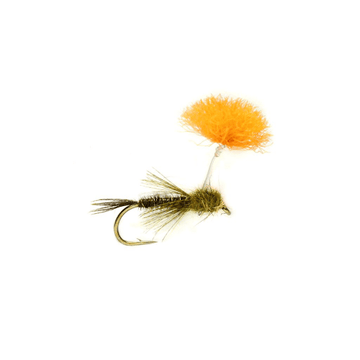 https://www.zefixflyfishing.de/wp-content/uploads/2021/07/PP1.png