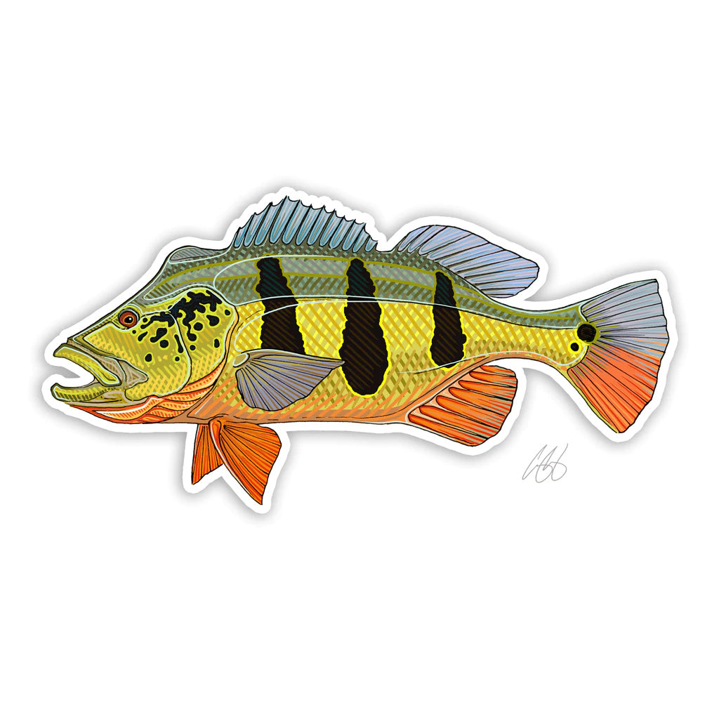 https://www.zefixflyfishing.de/wp-content/uploads/2022/06/Peacock_Bass.jpg