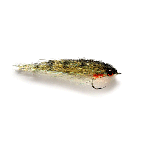 https://www.zefixflyfishing.de/wp-content/uploads/2021/02/Perch-1.png