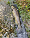 https://www.zefixflyfishing.de/wp-content/uploads/2021/05/Scale_Social.jpg