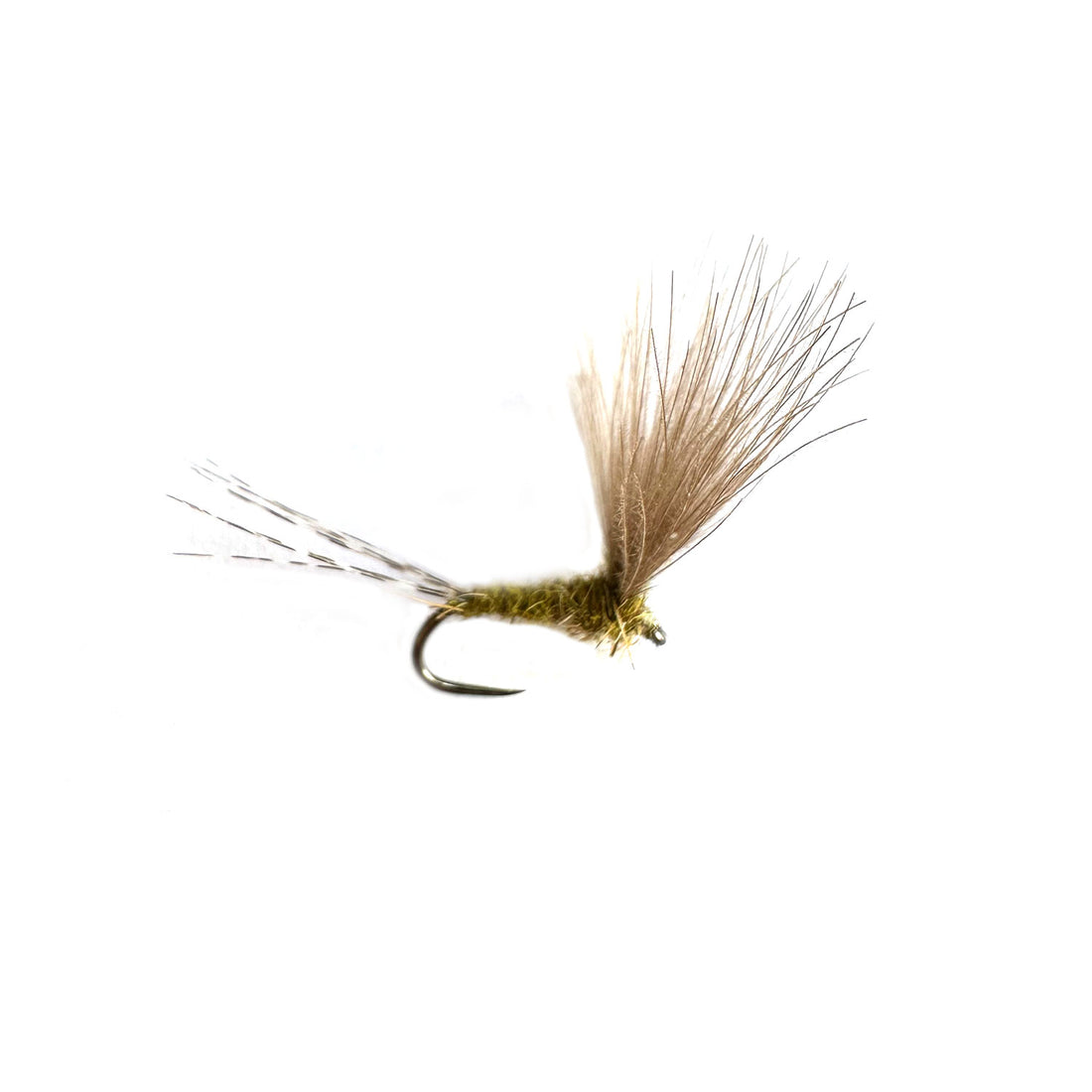 Slovenian BWO