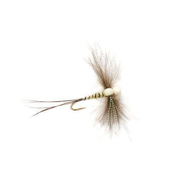 https://www.zefixflyfishing.de/wp-content/uploads/2022/06/Spinner.jpg