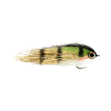 https://www.zefixflyfishing.de/wp-content/uploads/2021/10/gold-perch.png