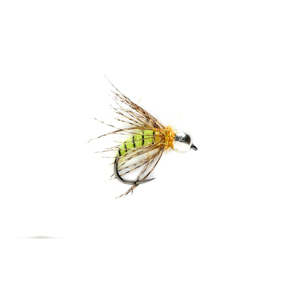 Grannom Pupa 