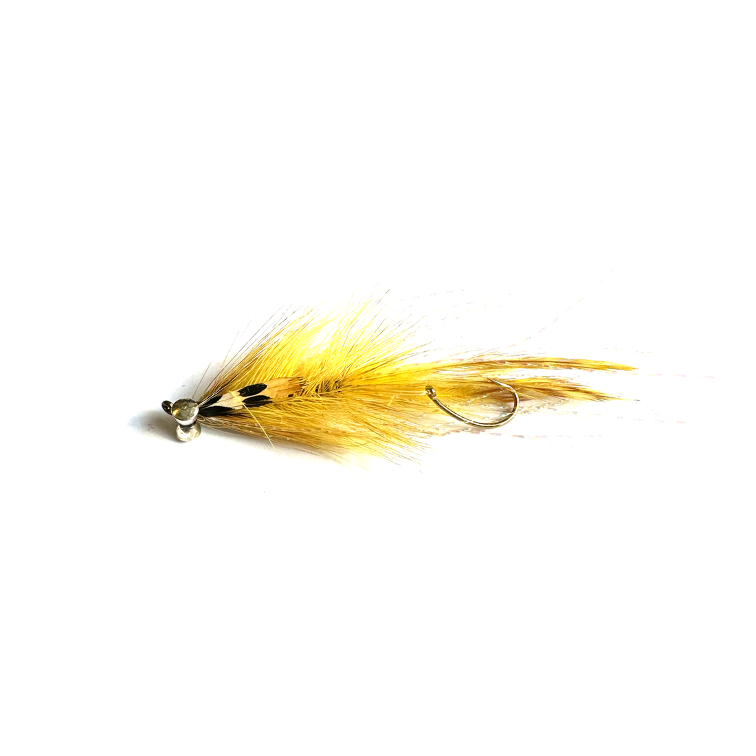 Mini Trout Intruder 