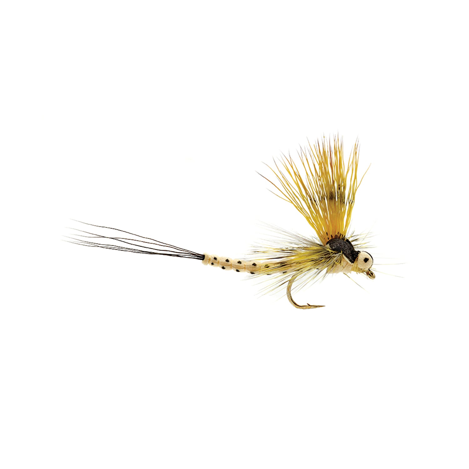 Mohican Mayfly