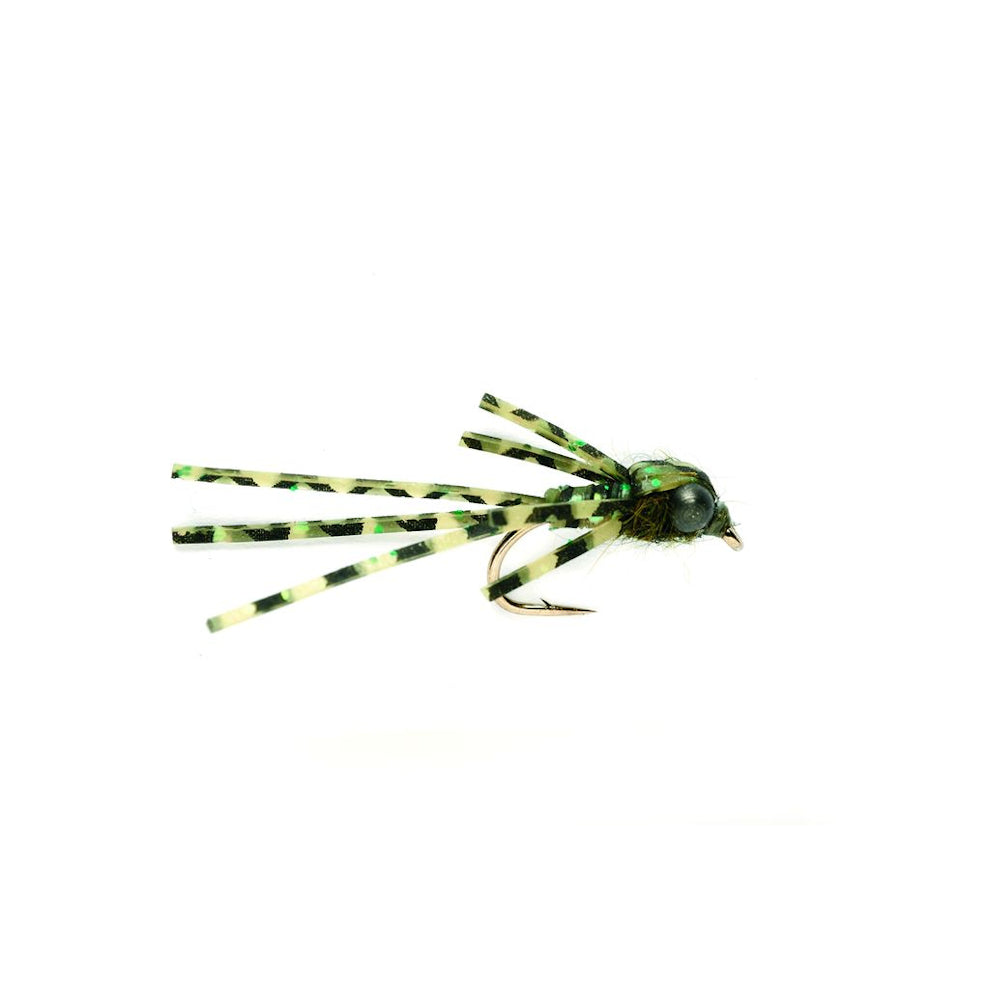 Sili Bug Damsel 