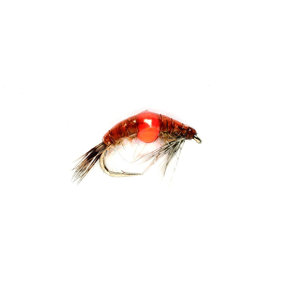 Spot on Shrimp