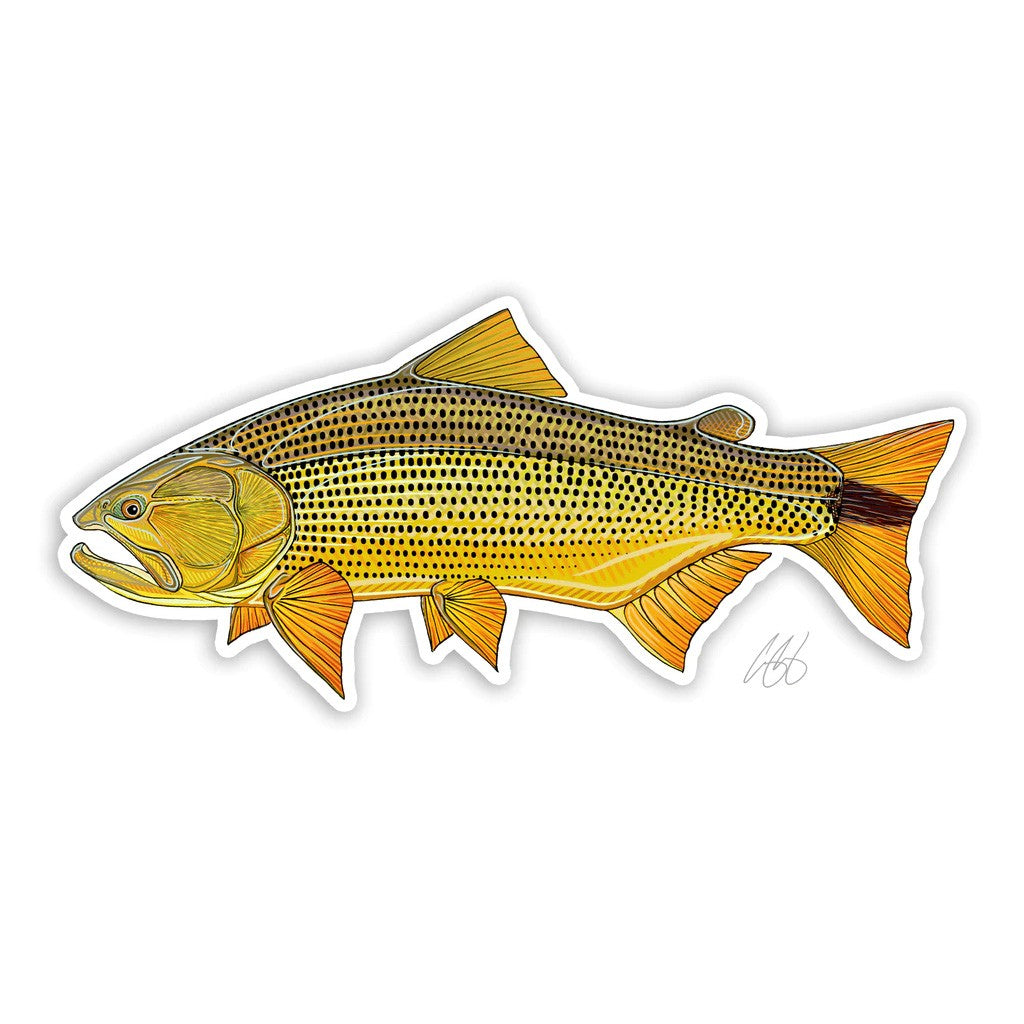 https://www.zefixflyfishing.de/wp-content/uploads/2022/06/Golden_Dorado.jpg