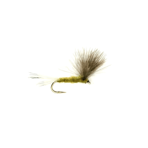 https://www.zefixflyfishing.de/wp-content/uploads/2021/02/Olive-CDC-Compara.png