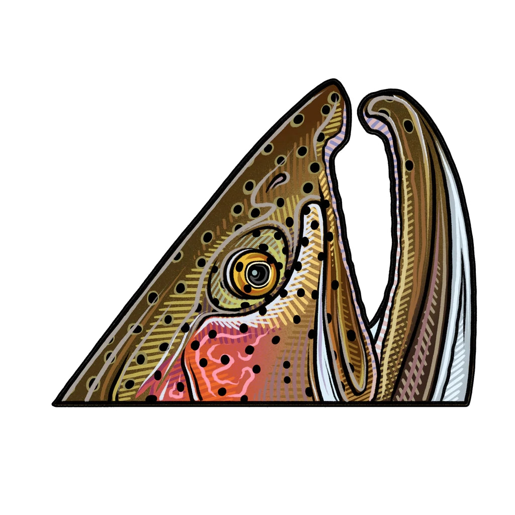 https://www.zefixflyfishing.de/wp-content/uploads/2022/06/Rainbowtrout_Rising.webp
